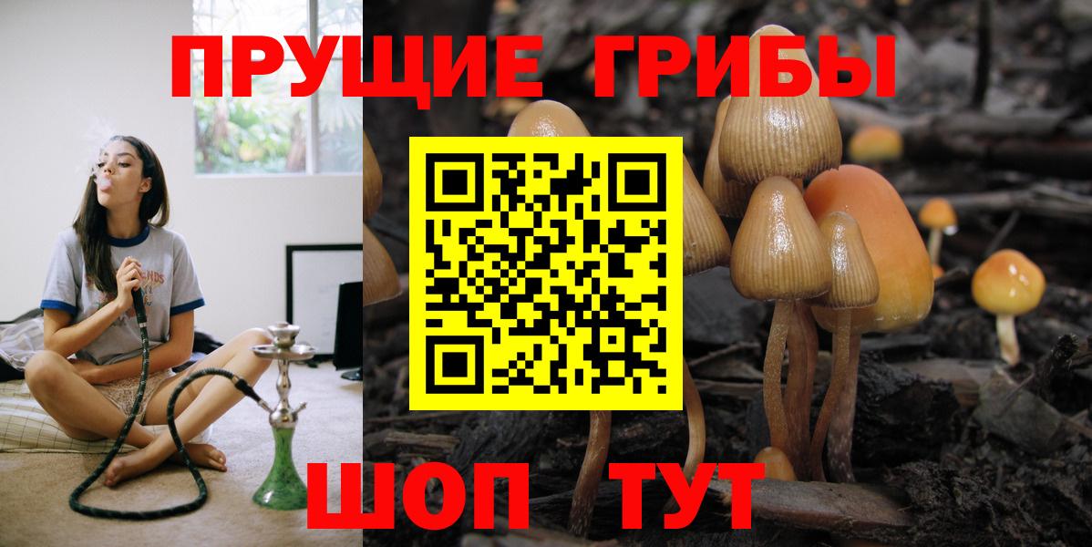 Северобайкальск  Псилоцибиновые грибы Cubensis  Вход с VPN 