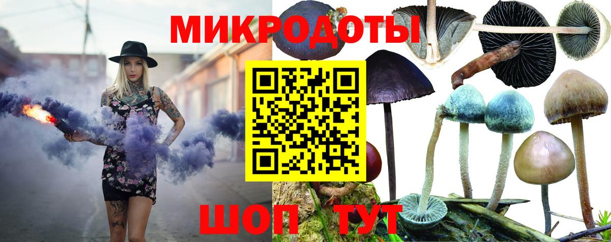 Псилоцибиновые грибы ЛСД Северобайкальск